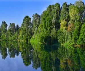 Puzzle Ένα ποτάμι με την αντανάκλαση των δέντρων στο νερό